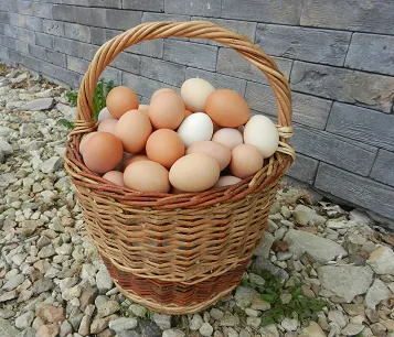 яйцо куриное фермерское в Пущине