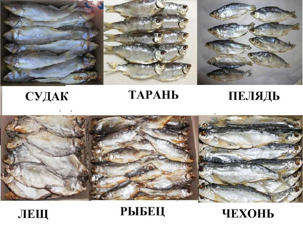 сушеные морепродукты, вяленая рыба  в Москве 2
