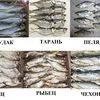 сушеные морепродукты, вяленая рыба  в Москве 2