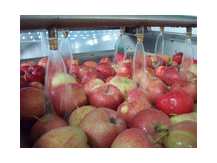 Яблочные чипсы AGRO-T