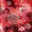 В США обнародовали доклад об утечке нового коронавируса из лаборатории в КНР