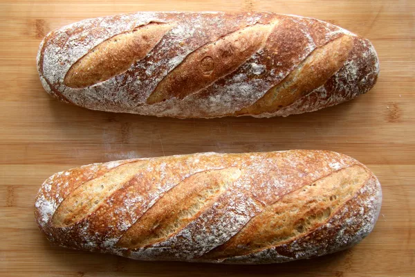 Фуражная пшеница ничуть не хуже хлебопекарной для питания людей