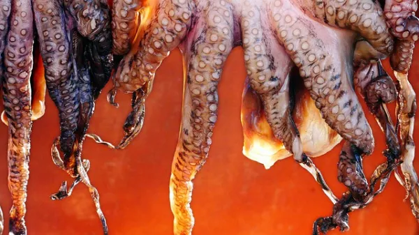 Совместное управление промыслом осьминогов обсуждается в португальском парламенте