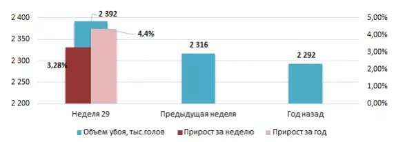 США: Обзор рынка свиней за 30 неделю от 31 июль 2023 года