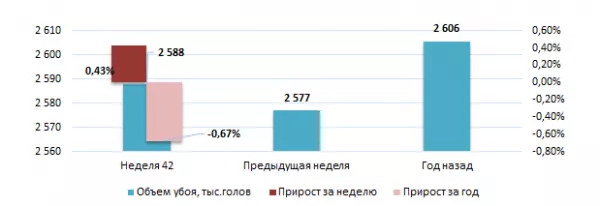 США: Обзор рынка свиней за 42 неделю от 20 октября 2025 года