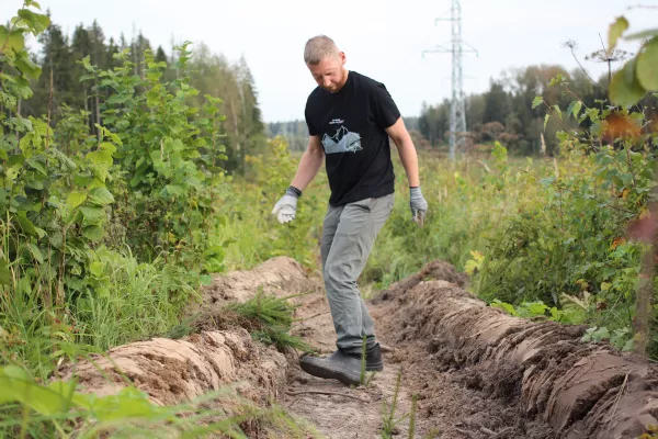 Углеродный след компании «Инлайн»: оценка за 2025 год