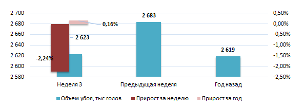 США: Обзор рынка свиней за 3 неделю от 19 января 2026 года