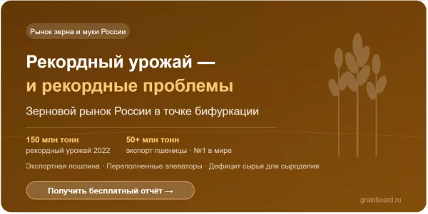 Рекордный урожай — и рекордные проблемы: зерновой рынок России в точке бифуркации