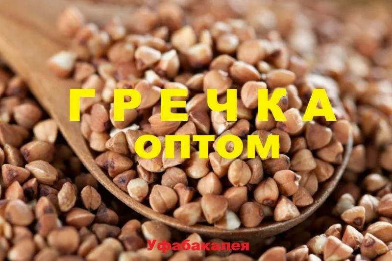 фотография продукта Гречка оптом в уфе