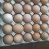 яйцо куриное в/с, 1с, 2с в Казахстане 8