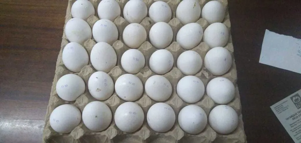 яйцо куриное в/с, 1с, 2с в Казахстане 5