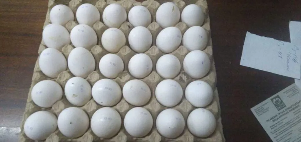яйцо куриное в/с, 1с, 2с в Казахстане 2