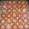 яйцо куриное в/с, 1с, 2с в Казахстане 9
