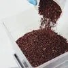 какао крупка премиум-класса в Эфиопии