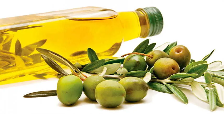 масло оливковое в Турции 4