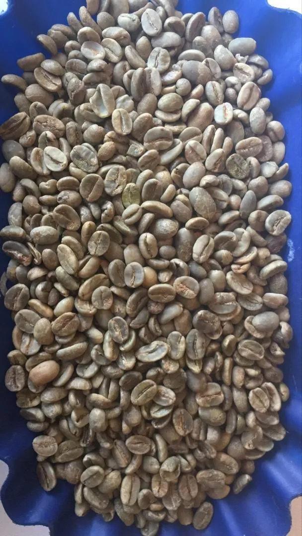 фотография продукта Угандский кофе прямые поставки.