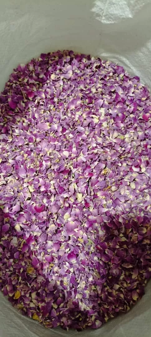 сушеные листья бутонов роз в Иране