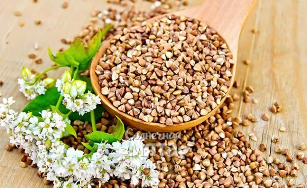 фотография продукта Покупаем крупу гречневую опт 